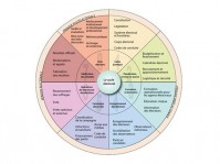 Cycle électoral